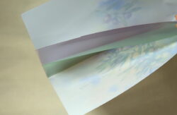 cf_half_003